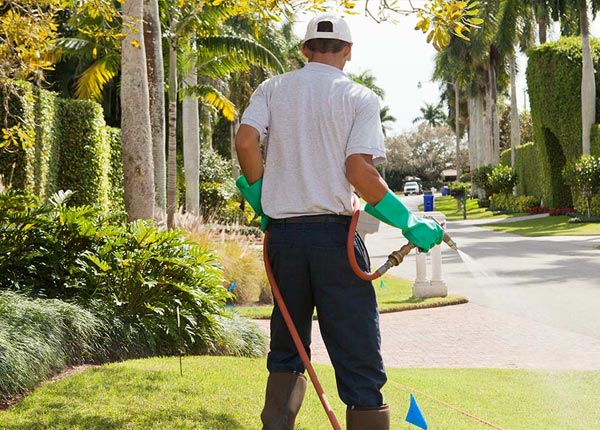 About Warsaw VA Pest Control